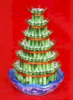 Lucky Bamboo sans melegi �i�egi Ankara �ankaya Cepa Al��veri� Merkezi AVM �i�ek�iler
