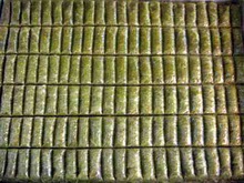 Ankara �ankaya Next Level AVM �i�ek sipari�i sitesi Essiz lezzette 1 kilo Fistikli D�r�m 