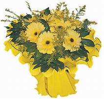 Ankara �ankaya Panora AVM �i�ek�i ma�azas� 9 adet sari g�zel gerbera