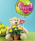 Ankara �ankaya Panora AVM �i�ek�i ma�azas� Ayicik balon ve saksida sari g�ller