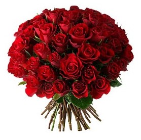 Ankara �ankaya K�z�lay Al��veri� Merkezi AVM �i�ek �i�ek�i , �i�ek�ilik  33 adet k�rm�z� g�l buketi