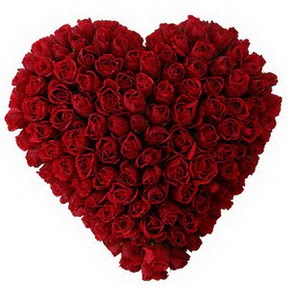 Ankara �ankaya Panora AVM �i�ek�i ma�azas� muhte�em k�rm�z� g�llerden kalp �i�e�i