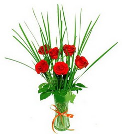 Ankara �ankaya K�z�lay Al��veri� Merkezi AVM �i�ek �i�ek�i , �i�ek�ilik  6 adet k�rm�z� g�llerden vazo �i�e�i
