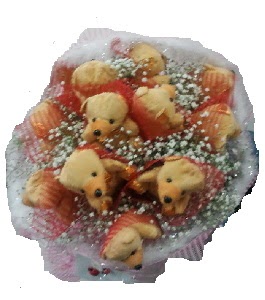 12 adet ay�c�ktan g�rsel ay� buketi