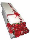 Ankara �ankaya Ankamall AVM �i�ek�i telefonlar� 11 adet 1.kalite magnum g�ller