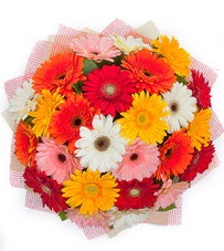 15 adet renkli gerbera buketi Carrefoursa AVM Ankara �i�ek sipari�i 