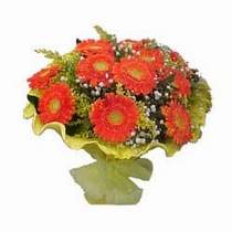 Ankara Etlik Antares Al��veri� merkezi AVM �i�ek yolla 11 adet se�me gerbera �i�egi