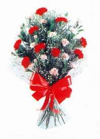 Ankara �ankaya Ankamall AVM �i�ek�i telefonlar� Karanfillerden g�zel bir demet