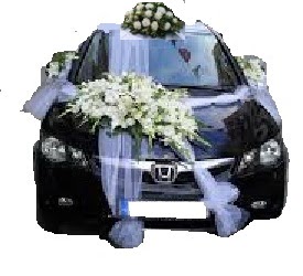 Ankara �ankaya Karum i� ve al��veri� merkezi AVM ucuz �i�ek g�nder �ift �i�ekli s�nnet d���n ve gelin arabas� s�sleme