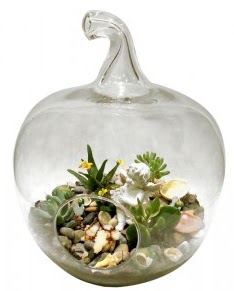 Orta boy elma terrarium 5 kakt�s Ankara Yenimahalle Podium AVM  cicek , cicekci 