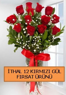  �thal k�rm�z� 12 adet kaliteli g�l Ankara �ankaya Karum i� ve al��veri� merkezi AVM ucuz �i�ek g�nder