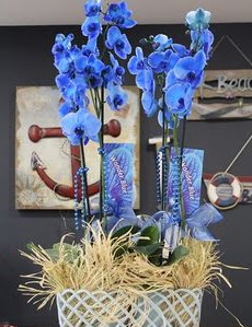 4 dall� �zel mavi orkide Ankara �ankaya Arcadium Al��veri� Merkezi AVM �i�ek sipari�i