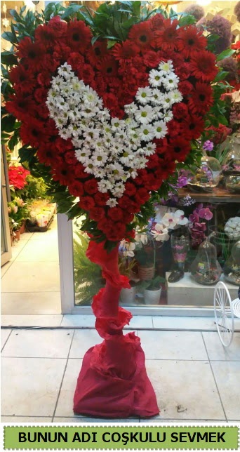Co�kulu bir a�k �i�e�i Ankara �ankaya Karum i� ve al��veri� merkezi AVM ucuz �i�ek g�nder