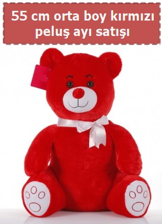 55 cm k�rm�z� orta boy oturan pelu� ay� Ankara Etlik Antares Al��veri� merkezi AVM �i�ek yolla