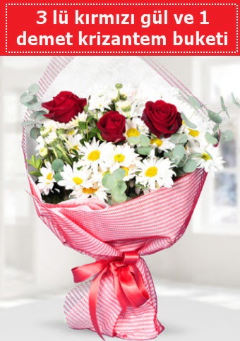 3 adet k�rm�z� g�l ve krizantem buketi Ankara FTZ Al��veri� merkezi AVM �i�ek�iler �i�ek g�nder