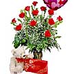 Ankara FTZ Al��veri� merkezi AVM �i�ek�iler �i�ek g�nder �ikolata g�l oyuncak balon