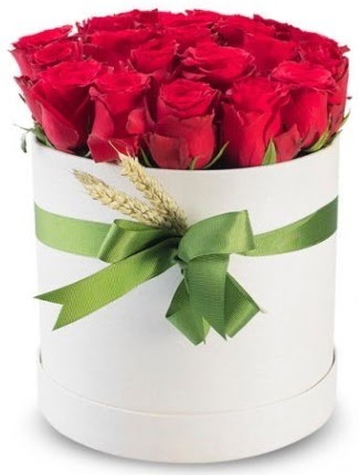 25 adet �zel kutuda k�rm�z� g�l Ankara Yenimahalle Acity Premium Outlet AVM cicekciler , cicek siparisi s�z �i�ekler