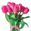Panora AVM Ankara �i�ek g�nderme 10 adet kalite pembe LaLe